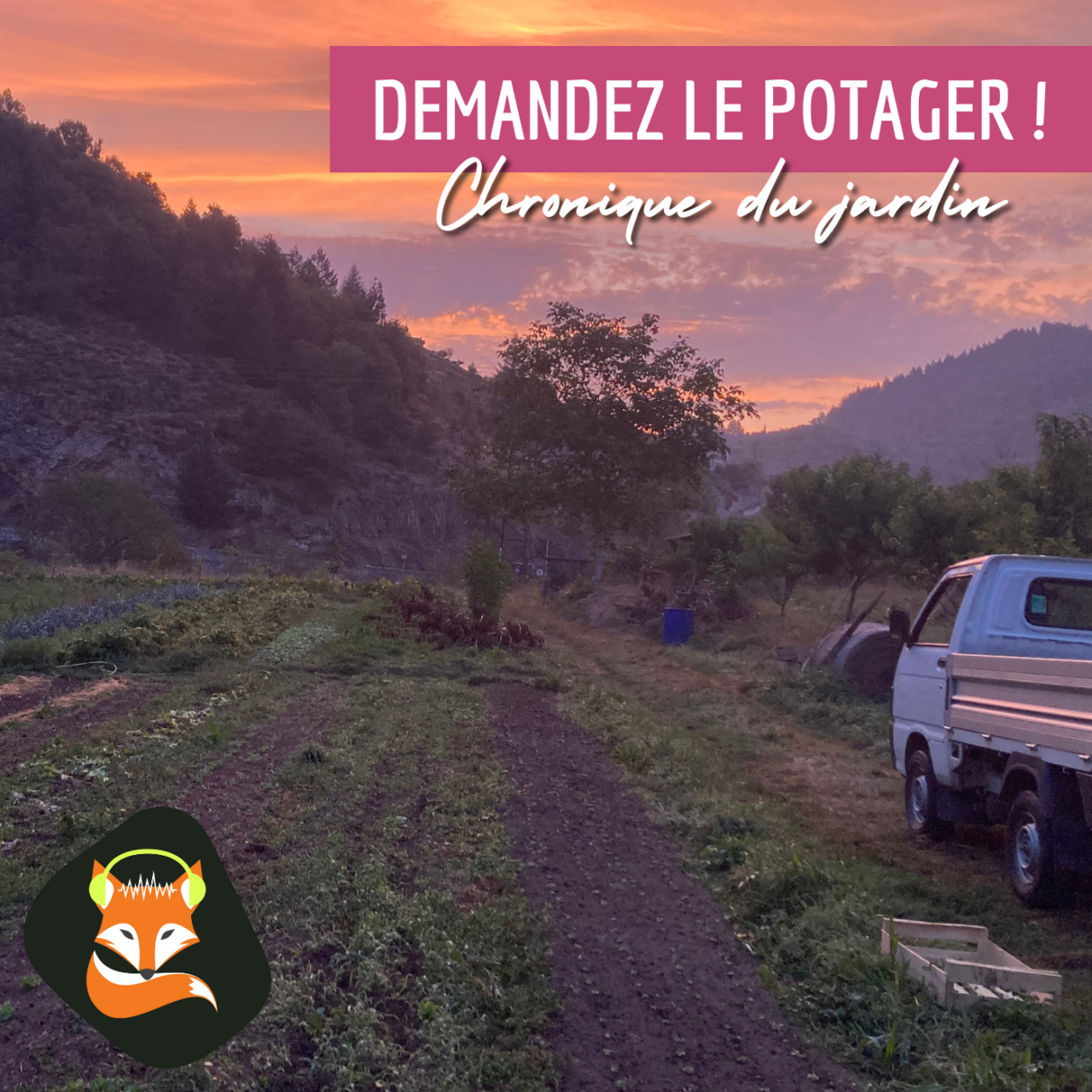 Chaque semaine retrouvez Benoît pour ses conseils autour du potager! Quelles questions, l'infatigable Michel pourra-t-il bien lui poser ?